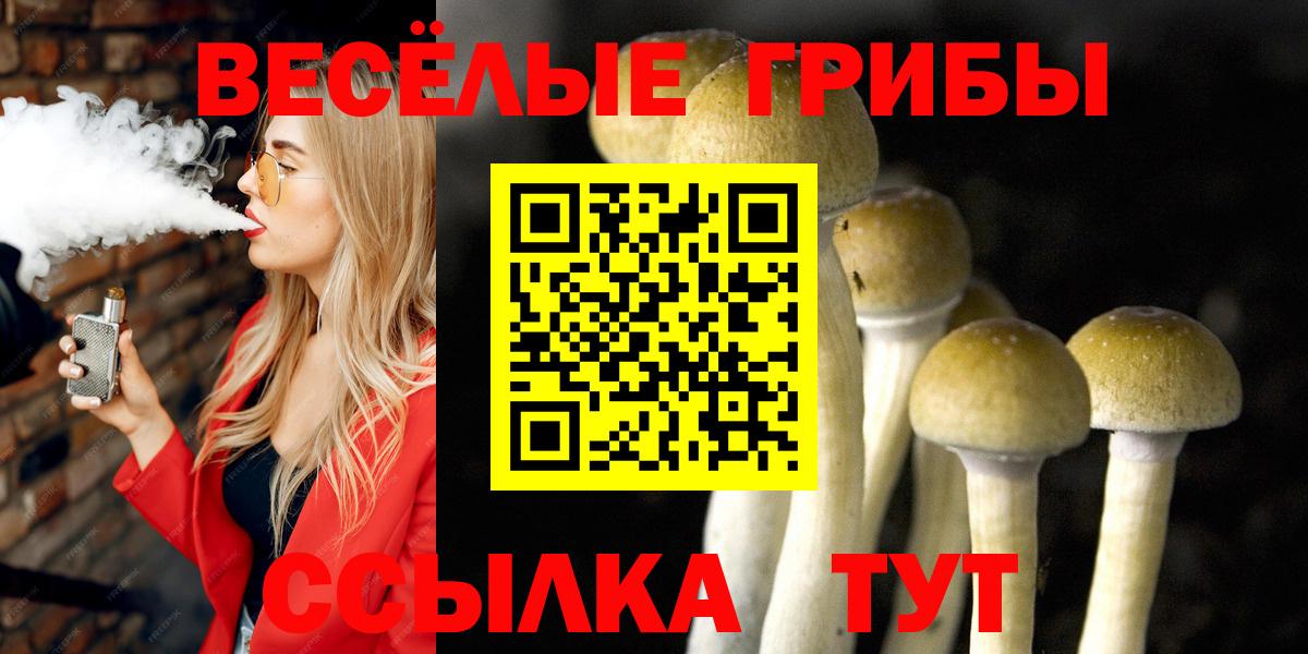 Псилоцибиновые грибы прущие грибы  Галлюциногенные грибы Psilocybe  Вход с VPN  Златоуст 