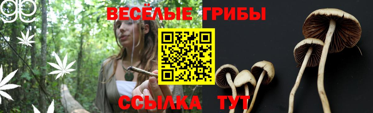 Псилоцибиновые грибы прущие грибы Златоуст